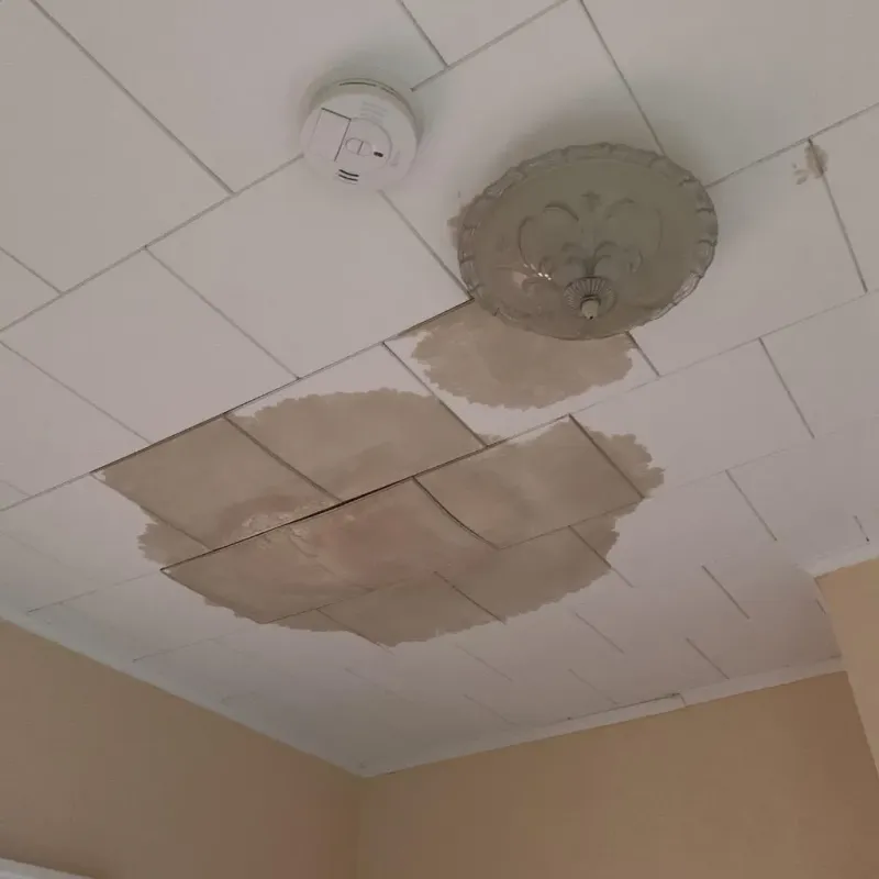 Ceiling Water Damage Repair in Lake Lure, NC