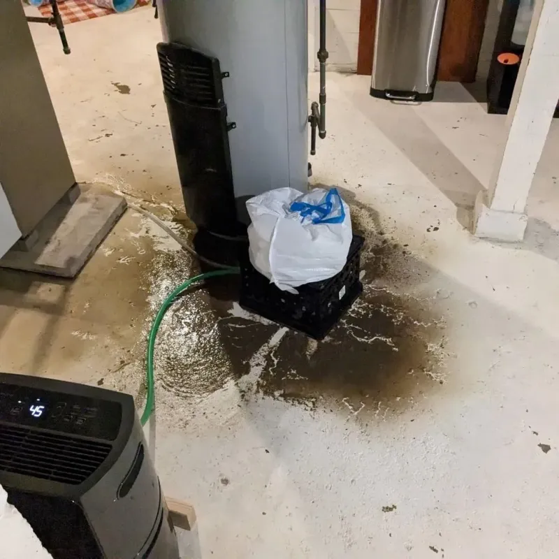 Sewage Backup Cleanup Service in Lake Lure, NC